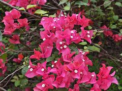 -桃花涧