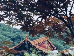 -临江·阅炉