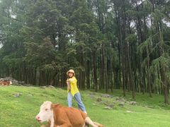 -硗碛藏寨·神木垒景区