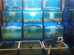 水产区-老东镇啤酒屋海鲜加工·蒸汽海鲜·海鲜烧烤(台东店)