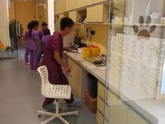 -瑞鹏宠物医院·爱宠堂·骨外专科(西荷分院)