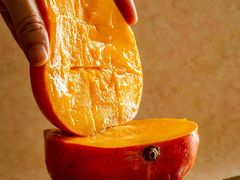 -FIDEE CHOCOLATE 花地