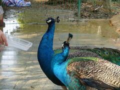 -杭州野生动物世界