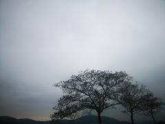 -蠡湖中央公园