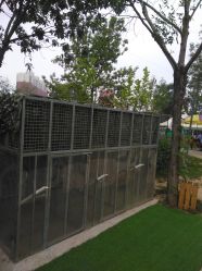 -萌宠亲子动物乐园(槐房万达店)