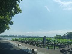 -西湖游船