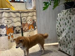 -小时光咖啡馆(北锣鼓巷店)