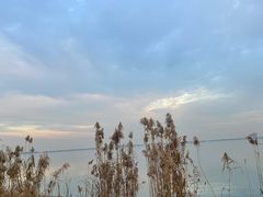 -阳澄湖半岛旅游度假区