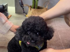 -聚健身GatherFitness(余杭店)