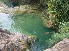 -南海湾森林生态园