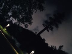 -野狸岛