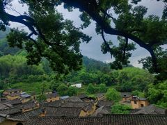 -杨家堂村