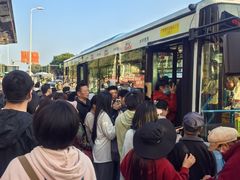 -白城沙滩