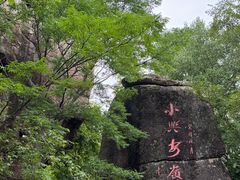 -汤旺河林海奇石景区