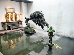 -觀芷隐轩