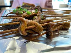 鳝鱼-晓靖轩烧烤(沙河风情店)