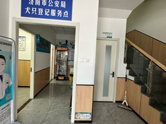 -瑞派雷欧宠物医院·24h夜诊·心脏骨科牙科·全科重症转诊中心(无影山店)