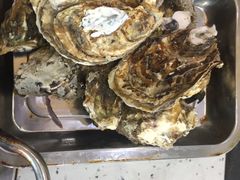 -王潮活海鲜自助·蒸汽海鲜