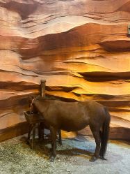 -酷嗒动物文化乐园(cutezoo西溪乐天城店)