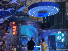 -烟台海昌鲸鲨海洋公园