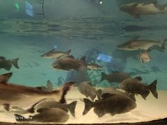 -洛阳龙门海洋馆