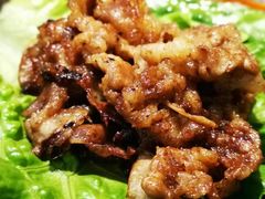 -汉城馆·烤肉火锅餐厅·韩国烤肉(河北云瑧世纪大饭店)