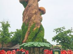 -大连海昌发现王国主题公园