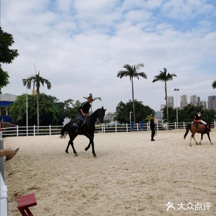 可是今天告诉大家，娃娃也可以培养马术的呢！