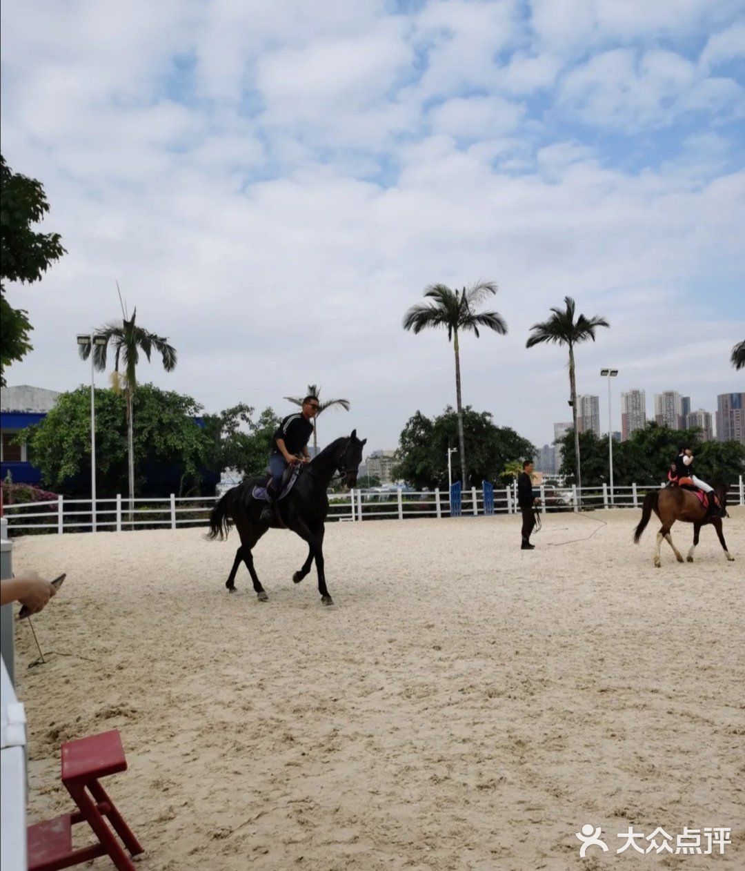 可是今天告诉大家，娃娃也可以培养马术的呢！