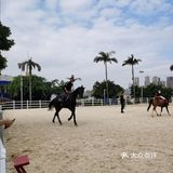 可是今天告诉大家，娃娃也可以培养马术的呢！