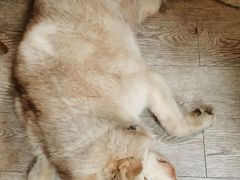 -小时光咖啡馆(北锣鼓巷店)