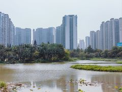 -中澳友谊花园