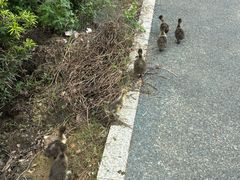 -西涌国际滨海旅游区