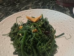 丝瓜尖拌腐竹-奉天小馆·非遗东北菜(沈阳万象城店)