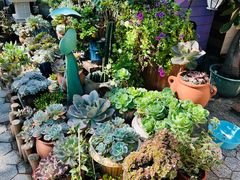 -杨厝六十六农庄农舍(杨厝路店)