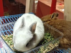 -万达广场(南京江宁店)