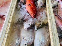 菜单-金巴兰鱼市场