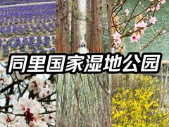 -同里国家湿地公园