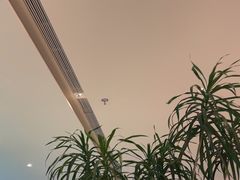 -桂满陇·蟹黄小笼汤包(巴黎春天浦建店)