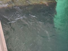 -珍珠港国家纪念馆