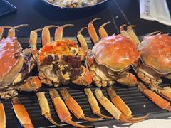 -红盔甲·小龙虾(车公庙店)