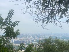 -火炉山森林公园