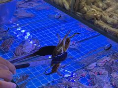-海韵之星邮轮水会(明发商业广场店)