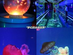-正佳极地海洋世界