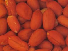 -大连熟食品交易中心