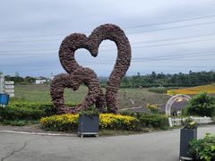 -紫颐香薰山谷景区