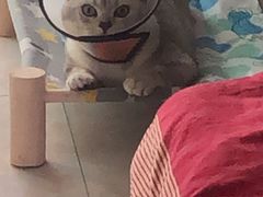 -宠颐生汉谟拉比宠物医院