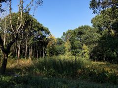 -昆山城市生态森林公园