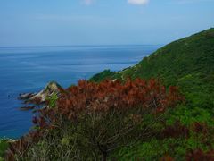 -西涌国际滨海旅游区