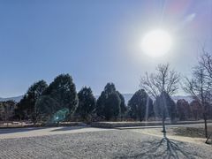 -秦始皇帝陵博物院-丽山园